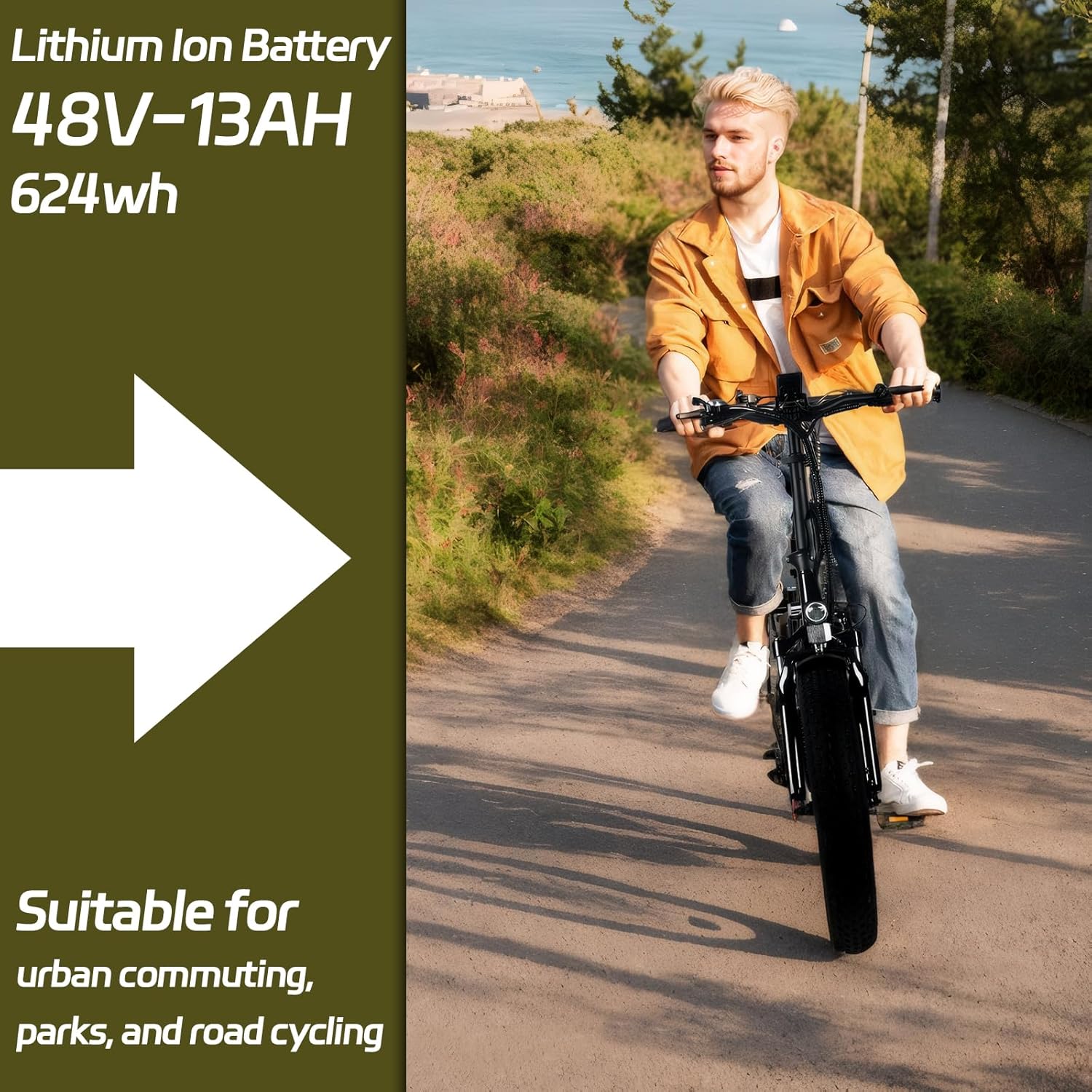 Bicicleta eléctrica para adultos, motor sin escobillas de 1500 W Bicicleta eléctrica para adultos, motor sin escobillas de 1500 W